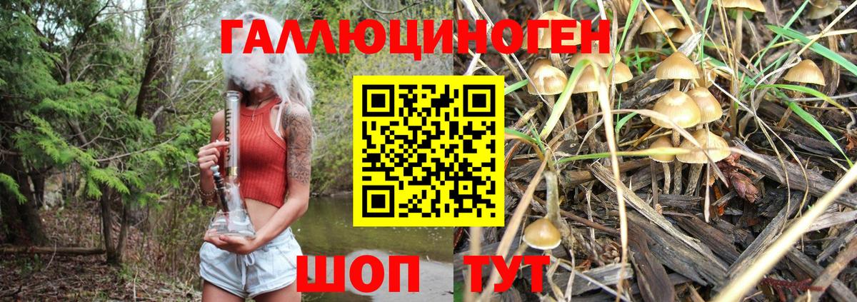 Лабинск  Псилоцибиновые грибы Magic Shrooms  Вход с VPN 