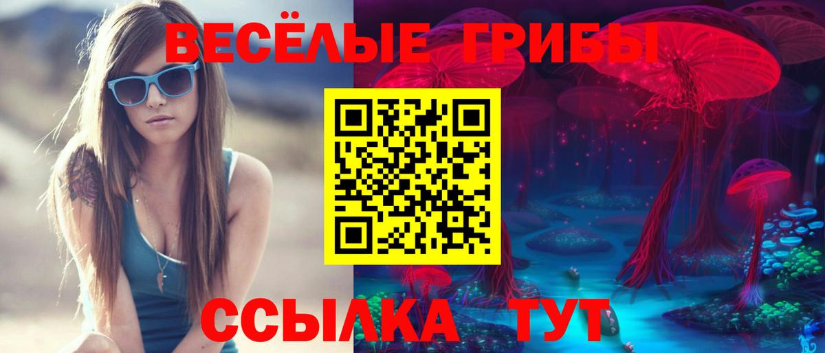 Псилоцибиновые грибы прущие грибы Лабинск